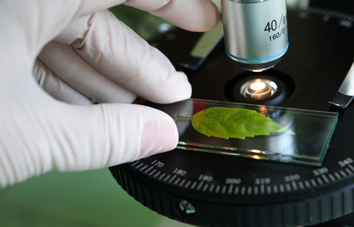 centre for plant research