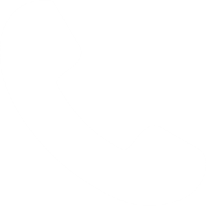 phone call white icon